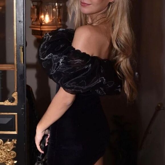 NWT ZARA VELVET VOLUMINOUS PUFF SLEEVE MINI DRESS NWT - Picture 7 of 16